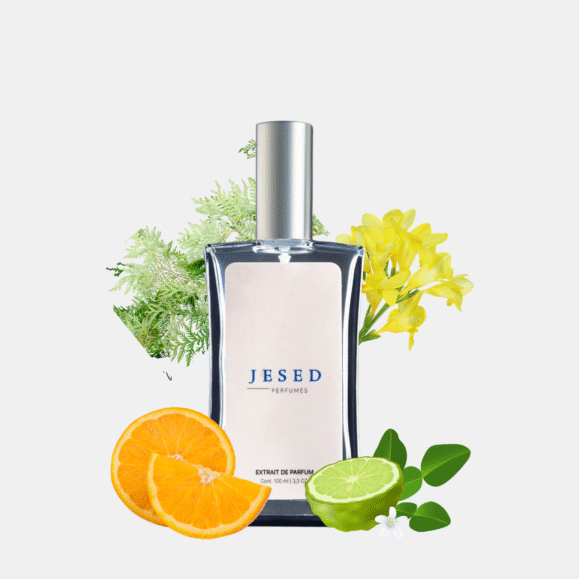 Extrait Parfum Dylan Purple – Versace - Imagen 3